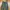 LOW PROFILE CARGO PANTS photo 4