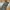 CHEVRE CARGO PANTS photo 2