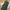 MUJI WIDE FIT CARGO PANTS