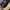 Penton bex double stich Dr Martens  photo 1