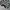 Crewneck veterano photo 4
