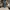 Wide baggy jeans avandress photo 3