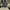 Wide baggy jeans avandress photo 1