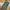 UNIQLO BALLON CARGO PANTS
