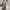 Adidas Superstar  photo 1