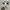Adidas Superstar  photo 3