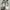 Nike Air  photo 1