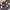 CONVERSE STAR PLAYER 76 OX  photo 3