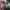 Adidasn Yeezy 350 V2 Beluga photo 4