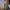 Adidasn Yeezy 350 V2 Beluga photo 7