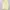 Windbreaker nike short sleeve yellow   photo 3