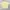 Windbreaker nike short sleeve yellow   photo 1