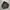 Aigle Puffer Jacket