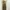 PLASTIC ISLAND Leopard Print Maxi Dress Plisket photo 3
