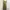PLASTIC ISLAND Leopard Print Maxi Dress Plisket photo 7