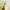 PLASTIC ISLAND Leopard Print Maxi Dress Plisket photo 5