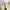 PLASTIC ISLAND Leopard Print Maxi Dress Plisket photo 6
