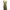 PLASTIC ISLAND Leopard Print Maxi Dress Plisket