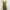 PLASTIC ISLAND Leopard Print Maxi Dress Plisket photo 2