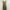 PLASTIC ISLAND Leopard Print Maxi Dress Plisket photo 4
