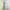 QUEEN Light Blue Halter Neck Pleated Maxi Dress photo 4