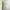 QUEEN Light Blue Halter Neck Pleated Maxi Dress photo 3