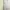 QUEEN Light Blue Halter Neck Pleated Maxi Dress photo 2