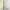 QUEEN Light Blue Halter Neck Pleated Maxi Dress