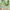 marie clarie tanktop stripe green cute photo 3