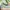 marie clarie tanktop stripe green cute photo 4