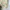 marie clarie tanktop stripe green cute photo 5
