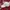 FUBU Vintage Streetwear Hat Pria gold white photo 4
