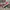 VANS ERA TWOTONE  photo 4