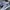VANS SK8 LOW CONTRAS  photo 3