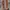 VANS SLIPON CHECKERBOARD  photo 5