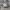 VANS AUTHENTIC WHITE  photo 1