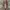 VANS SLIPON CHECKERBOARD  photo 5