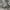 VANS SLIPON CHECKERBOARD  photo 1