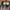 VANS ERA HALFMOON  photo 6