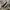 VANS ERA HALFMOON  photo 2