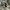 VANS ERA HALFMOON  photo 3