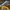 Nike AJ 1 Low Sail White Oil  photo 4
