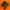 NIKE TN
 photo 1