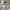 Polo Ralph Lauren Vintage Sportswear Short Pria white photo 5