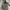 LAUREN Ralph Lauren sling & handbag photo 3