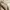 Michael Kors Grayson Satchel Large Canvas Signature photo 10