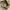 Michael Kors Grayson Satchel Large Canvas Signature photo 8