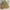Michael Kors Grayson Satchel Large Canvas Signature photo 4