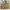 Michael Kors Grayson Satchel Large Canvas Signature