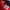 Ennerre Windbreaker Tracktop Jacket Red photo 9